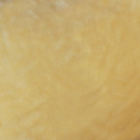 Мех искусственный, коротковорсовый  в Воронеже