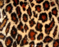 Мех искуственный, коротковорсовый, жаккардовый (Беларусь)