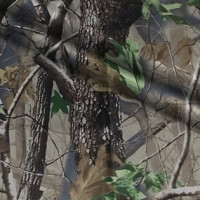 Ткань Оксфорд в Воронеже